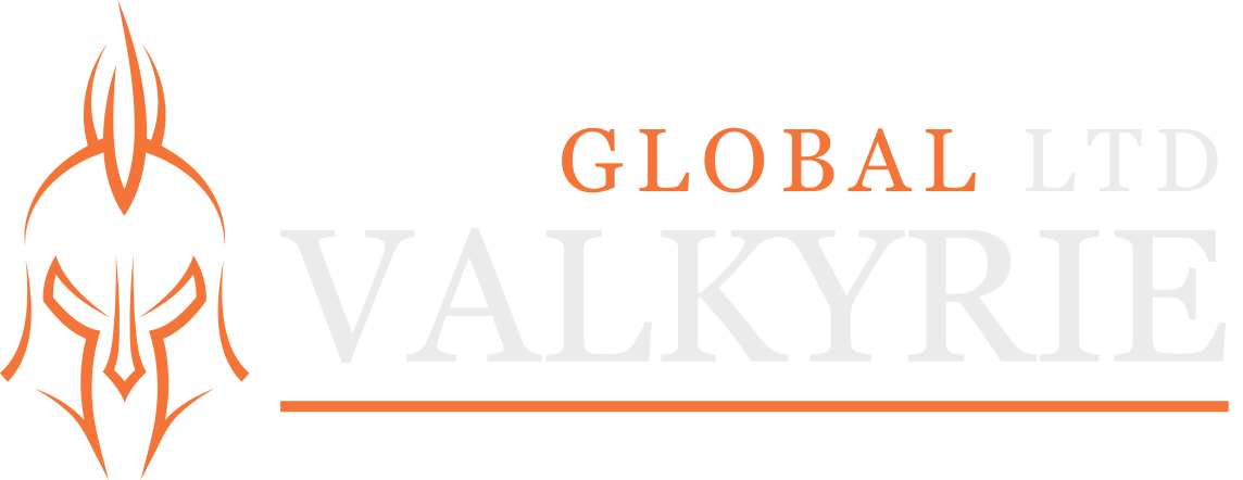 VALKYRIE GLOBAL LTD